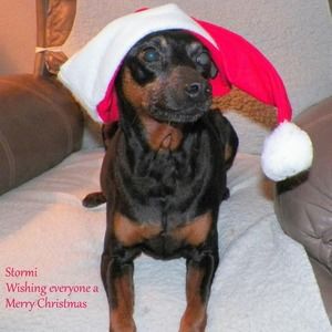 Meet your Posher, Janice